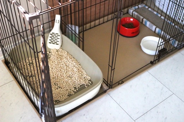 猫のシステムトイレへの切り替え　中々慣れない原因とおすすめの対策法